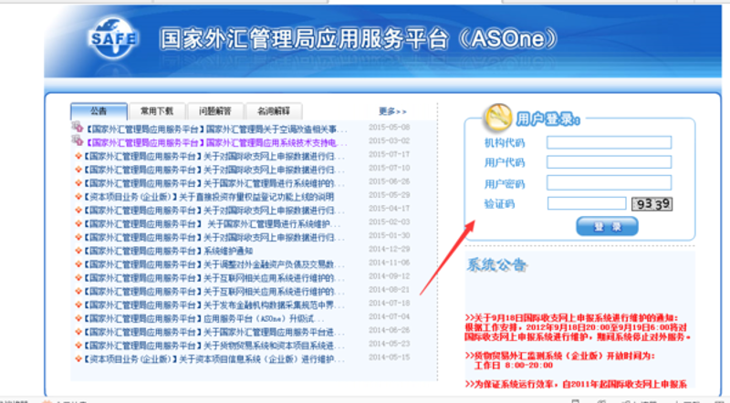 美金外汇账户代办服务，让新手也能轻松交易